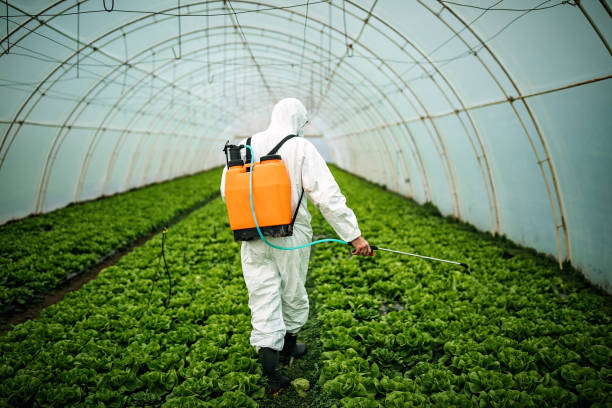 Best Affordable Pest Control Services  in Washington Park, FL