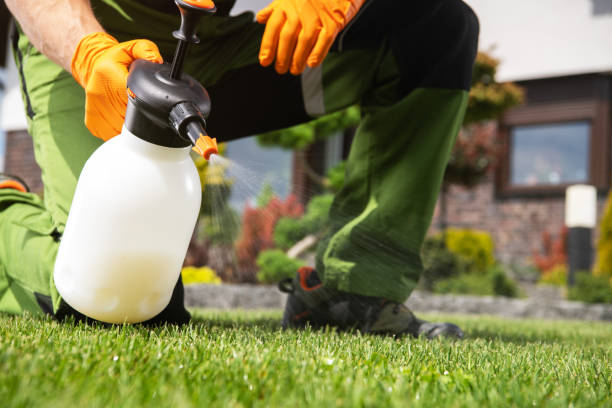 Best Wildlife Control Services  in Washington Park, FL