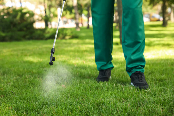Best Residential Pest Control  in Washington Park, FL